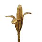 Brass Banana Tree Big KBH07589