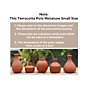 Terracotta Miniature Vases Set of 5 for Home Decorative Gift