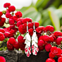 Silver Drop Earrings Maroon