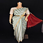 Tassar Fancy silk saree