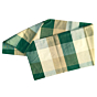 Handloom 100%Cotton Checked Bedsheet