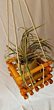 Wall Hanging Planter - Pot Bamboo Planter (Jhumur Planter)