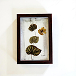 Foliage and butterfly - Home decor artwork made from dry leaves and flowers