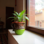 Handpainted Terracotta Planter