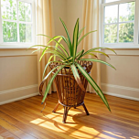 Cane Bamboo Planter Stand | Flower Pot Stand 