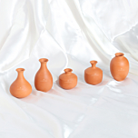 Terracotta Miniature Pots for Home Decorative (5 Piece)