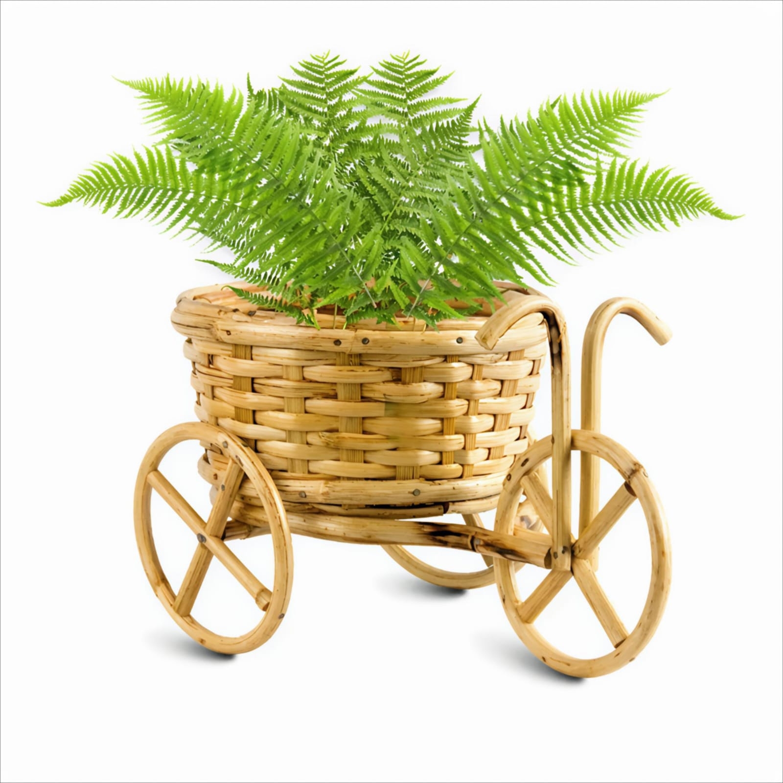 Buy Handmade Cane & Bamboo Rickshaw Planter Online