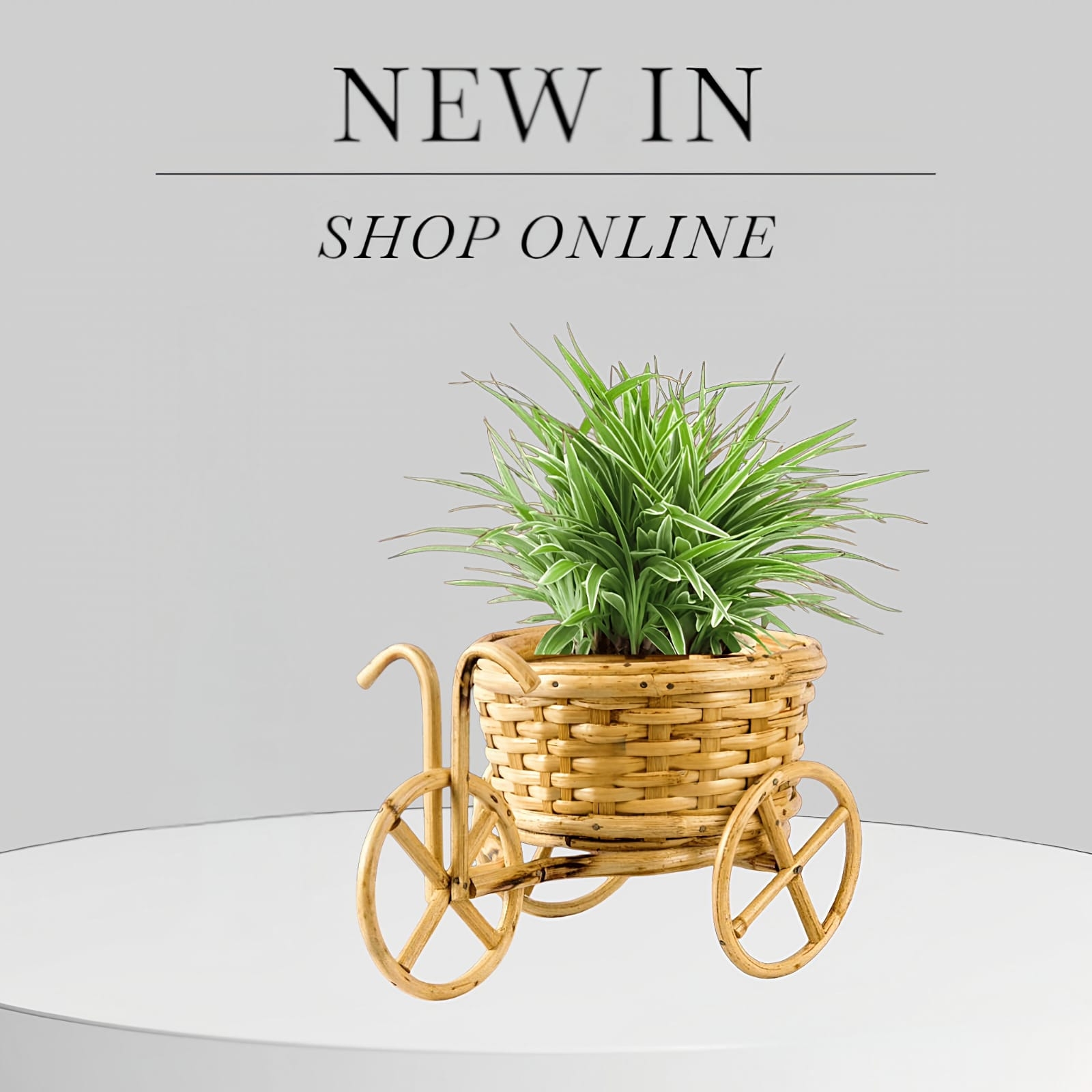 Buy Handmade Cane & Bamboo Rickshaw Planter Online