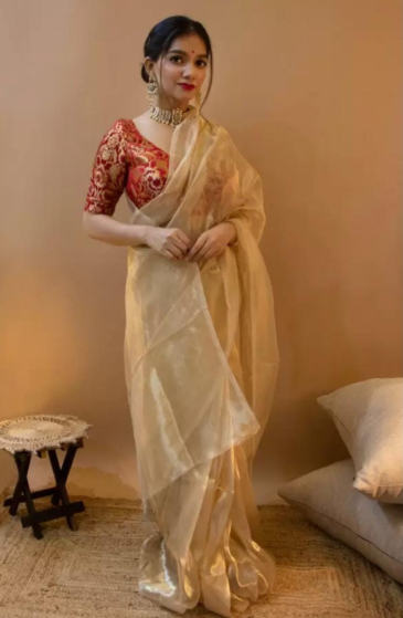 Chanderi handloom tishu silk saree