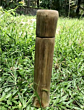 BOTTLE  (BAMBOO)