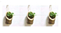 Vertical Hanging Bamboo Planters with Rope - Bamboo Stand - Bamboo Pot