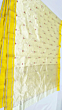 Chanderi Handloom Pattu Silk Saree