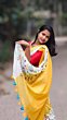 Linen Embroidery Saree Half & Half Design with Plain Border & Running Blouse - 100 Count Premium Linen