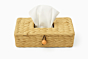 Water Hyacinth Tissue Box
