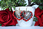 Aapan Kala Earring Red Heart Shaped