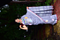 Hand painted saree