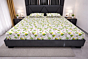 Handloom Printed Cotton Bedsheet with Two Pillow Cover