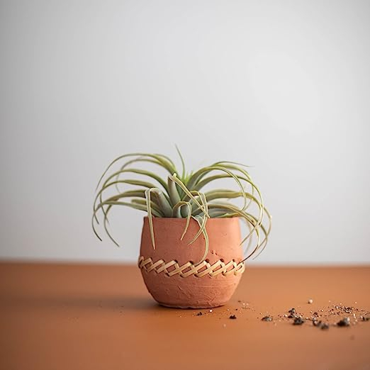 Dastkar Crafts Home & Garden Natural Terracotta and Woven Rattan Planter 5"x5" 